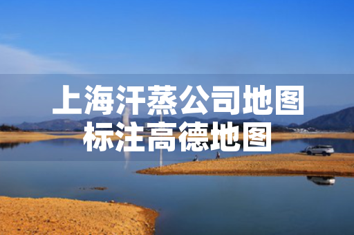 上海汗蒸公司地图标注高德地图