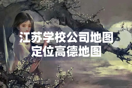 江苏学校公司地图定位高德地图
